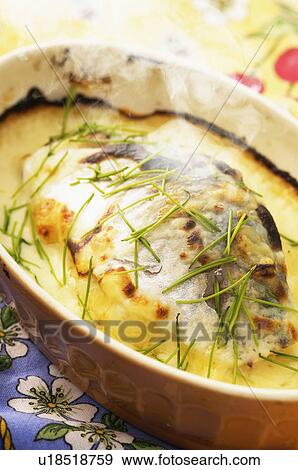 Stock Photo - Gratin. Fotosearch