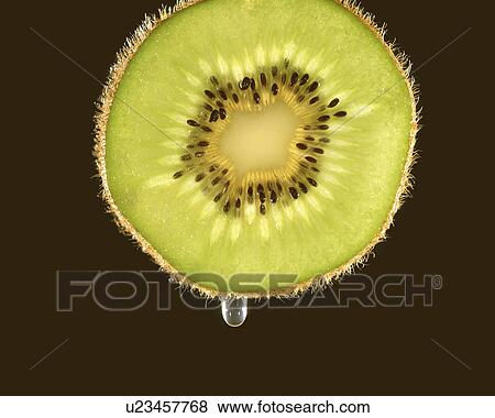 Stock Photo - Kiwi. Fotosearch