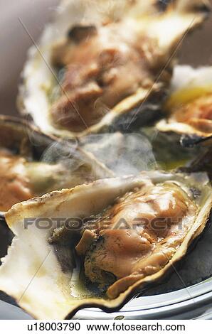 Oyster View Large Photo Image Stock Image - Oyster. Fotosearch