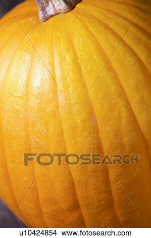 Pumpkin View Large Photo Image Picture - Pumpkin. Fotosearch