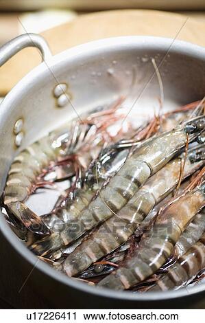 Shrimp View Large Photo Image Stock Image - Shrimp. Fotosearch