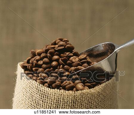 Stock Image - Coffee bean. Fotosearch