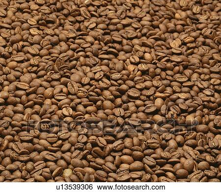 Coffee bean View Large Photo Image Stock Photograph - Coffee bean. Fotosearch