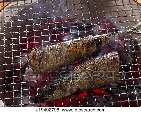 Stock Photo - Broiled saury with salt. Fotosearch