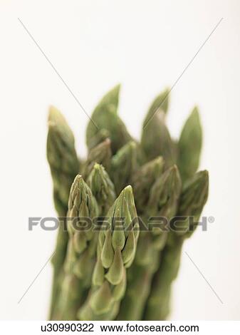 Asparagus View Large Photo Image Stock Image - Asparagus. Fotosearch