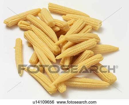 Stock Photograph - Baby corn. Fotosearch