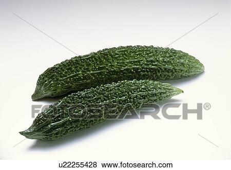 Bitter gourd View Large Photo Image Stock Photo - Bitter gourd. Fotosearch
