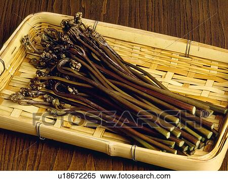 Stock Photography - Bracken. Fotosearch