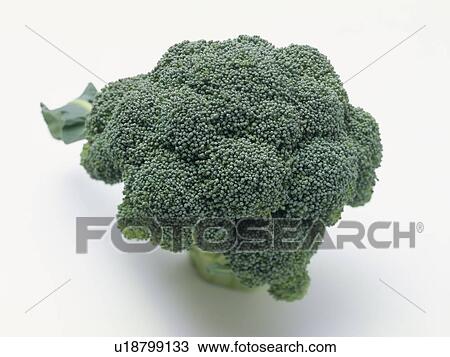 Stock Image - Broccoli. Fotosearch