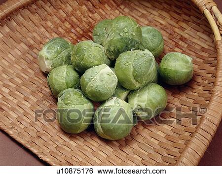 Brussels sprouts View Large Photo Image Stock Photograph - Brussels sprouts. Fotosearch
