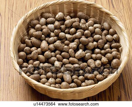 Bulbils of Japanese yam View Large Photo Image Picture - Bulbils of Japanese yam. Fotosearch