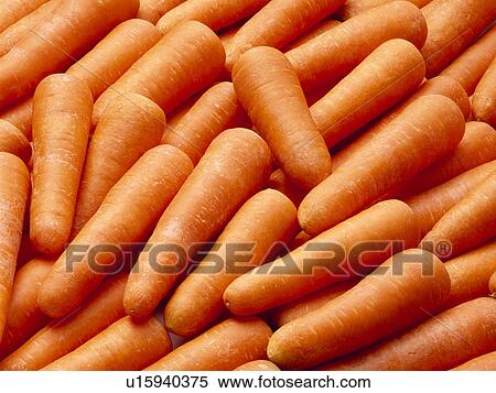 Carrot View Large Photo Image Stock Photography - Carrot. Fotosearch