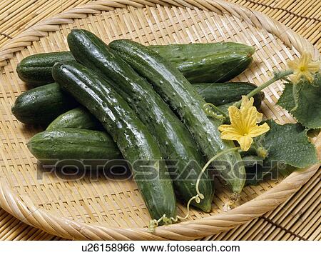 Stock Photograph - Cucumber. Fotosearch