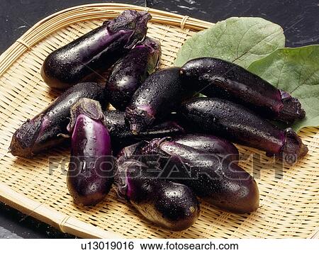 Eggplant View Large Photo Image Stock Photograph - Eggplant. Fotosearch