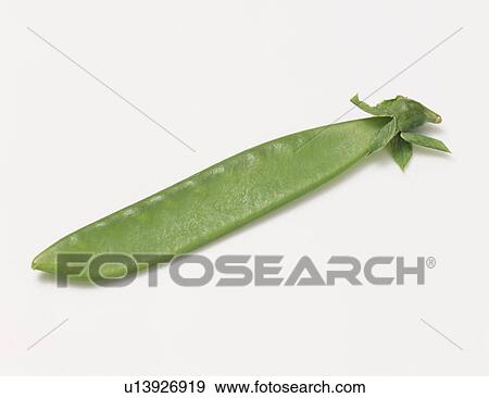 Stock Photo - Field peas. Fotosearch