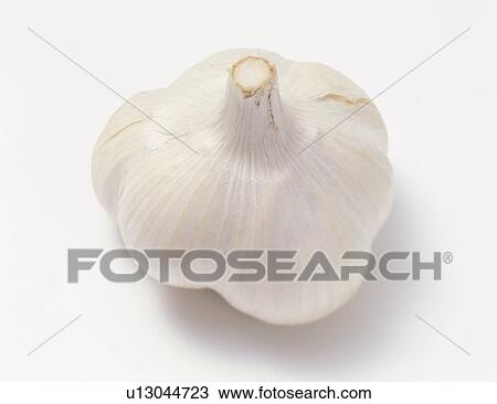 Stock Image - Garlic. Fotosearch