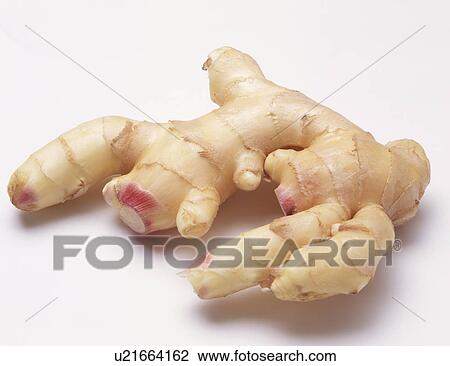 Stock Image - Ginger. Fotosearch
