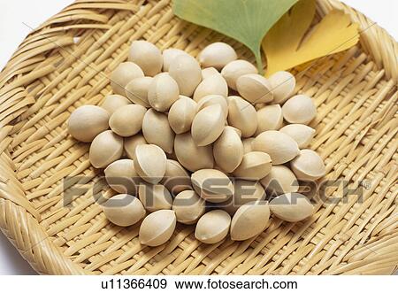 Stock Photo - Ginkgo nuts. Fotosearch