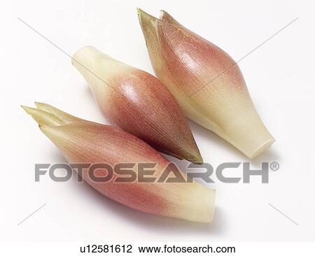 Stock Image - Japanese ginger. Fotosearch