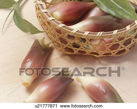 Stock Image - Japanese ginger. Fotosearch