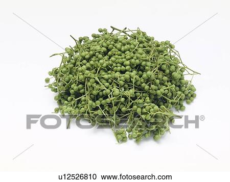 Japanese pepper View Large Photo Image Stock Image - Japanese pepper. Fotosearch