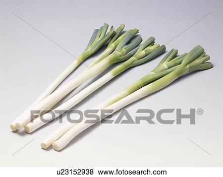 Stock Photo - Leek. Fotosearch