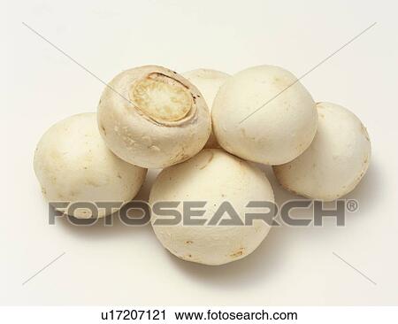 Stock Image - Mushroom. Fotosearch