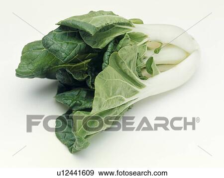 Pak Choi View Large Photo Image Stock Photo - Pak Choi. Fotosearch