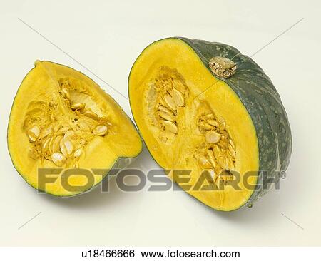 Stock Photograph - Pumpkin. Fotosearch