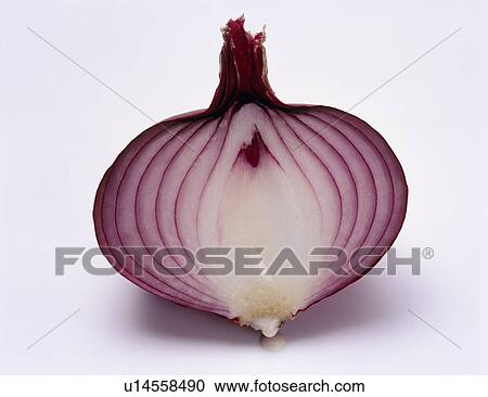 Stock Image - Red onion. Fotosearch