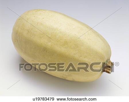 Spaghetti squash View Large Photo Image Stock Photo - Spaghetti squash. Fotosearch
