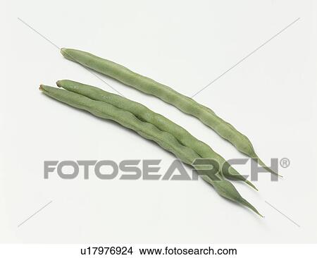 Picture - String beans. Fotosearch