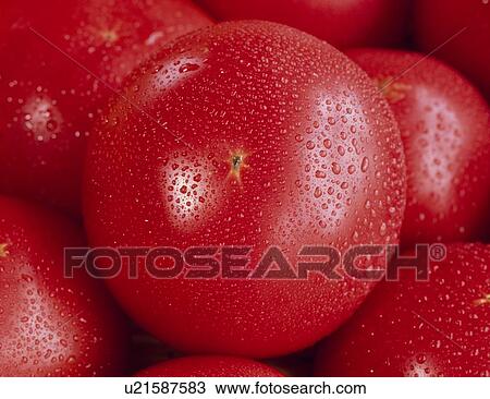 Stock Image - Tomato. Fotosearch