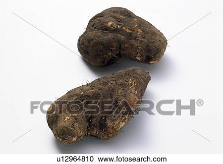 Stock Image - Yam. Fotosearch