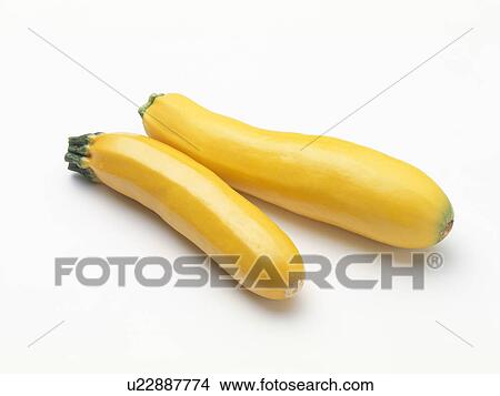 Picture - Zucchini. Fotosearch