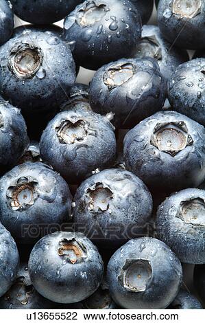 Blueberries, close-up (full frame) View Large Photo Image Stock Image - Blueberries, close-up (full frame). Fotosearch