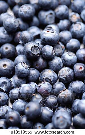 Blueberries, full frame View Large Photo Image Stock Photography - Blueberries, full frame. Fotosearch