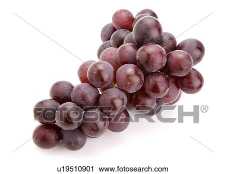 Stock Image - Bunch of grapes. Fotosearch