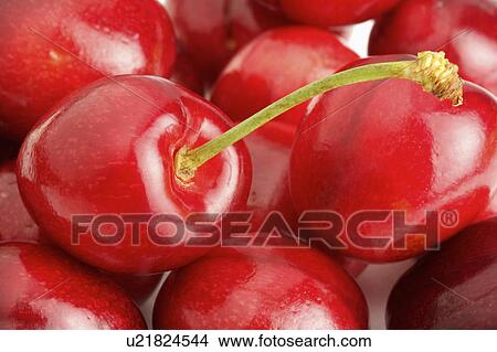Cherries View Large Photo Image Picture - Cherries. Fotosearch