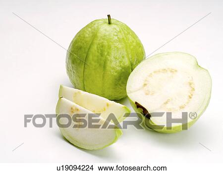 Guava View Large Photo Image Picture - Guava. Fotosearch