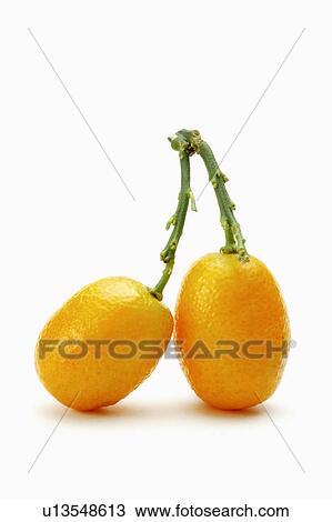 Kumquats View Large Photo Image Stock Image - Kumquats. Fotosearch