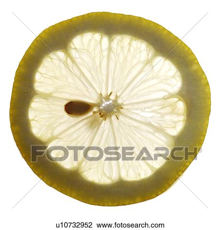 Stock Image - Lemon slice. Fotosearch