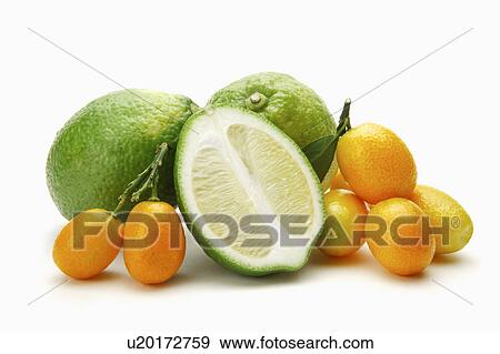 Stock Photo - Lemons and Cumquats. Fotosearch