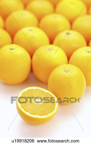 Oranges View Large Photo Image Stock Photograph - Oranges. Fotosearch