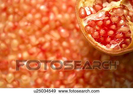Stock Photo - Pomegranate Seeds. Fotosearch