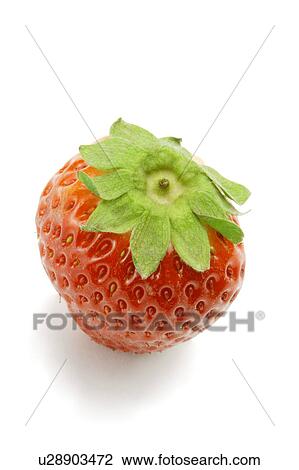 Stock Image - Strawberry. Fotosearch