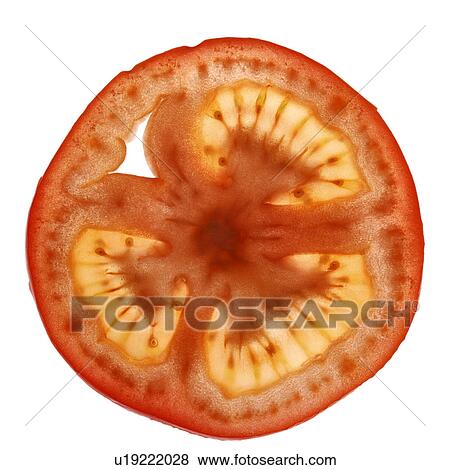 Tomato slice View Large Photo Image Stock Photo - Tomato slice. Fotosearch
