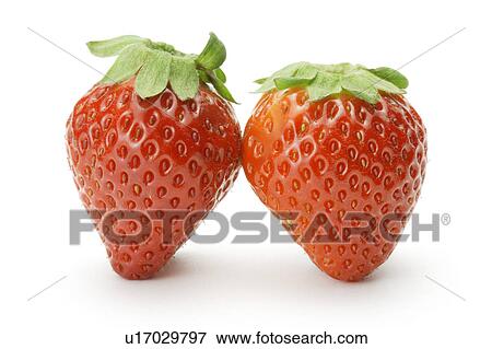 Stock Photo - Two strawberries. Fotosearch