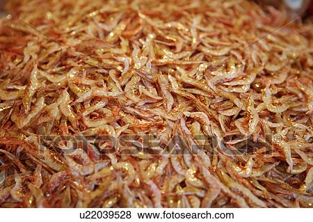 Stock Photo - Sakura Shrimps. Fotosearch