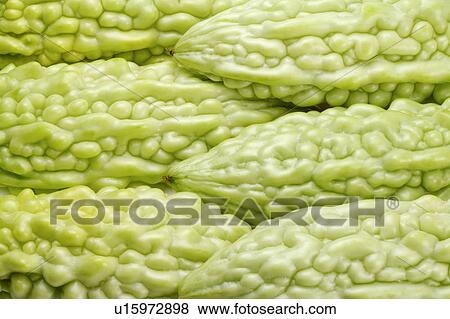 Stock Photo - Balsam pear. Fotosearch